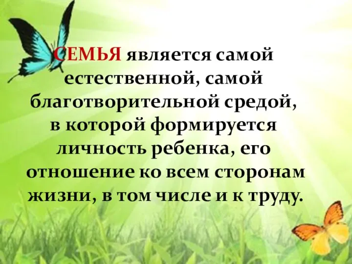 СЕМЬЯ является самой естественной, самой благотворительной средой, в которой формируется личность ребенка,