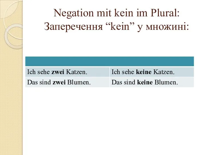 Negation mit kein im Plural: Заперечення “kein” у множині: