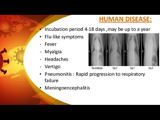 HUMAN DISEASE: Incubation period 4-18 days ,may be up to a year