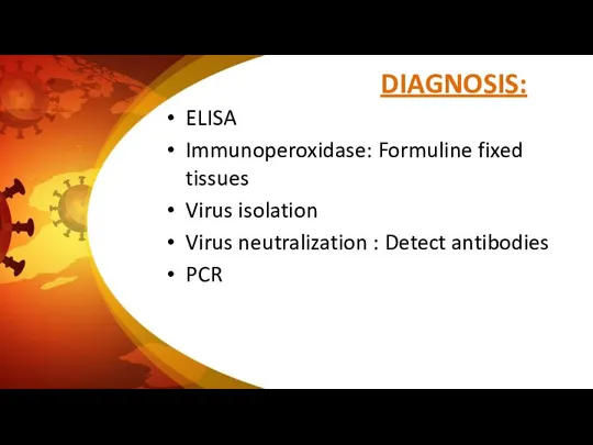 DIAGNOSIS: ELISA Immunoperoxidase: Formuline fixed tissues Virus isolation Virus neutralization : Detect antibodies PCR