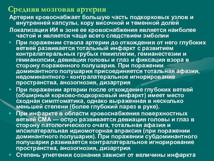 Средняя мозговая артерия Артерия кровоснабжает большую часть подкорковых узлов и внутренней капсулы,