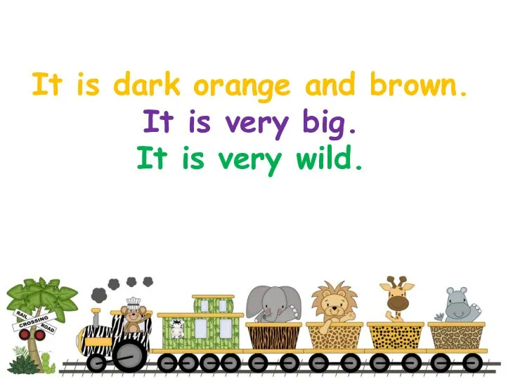 It is dark orange and brown. It is very big. It is very wild.