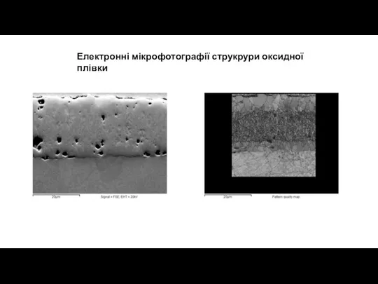 Електронні мікрофотографії струкрури оксидної плівки