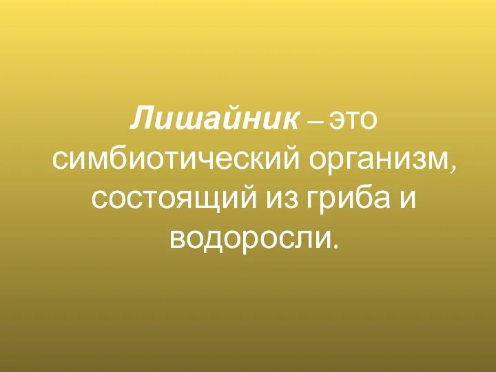 Лишайник – это симбиотический организм, состоящий из гриба и водоросли.