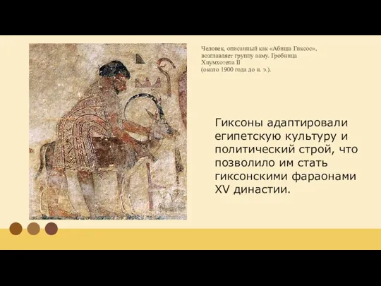 Человек, описанный как «Абиша Гиксос», возглавляет группу ааму. Гробница Хнумхотепа II (около