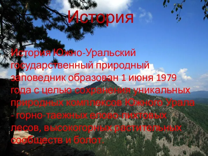 История История Южно-Уральский государственный природный заповедник образован 1 июня 1979 года с