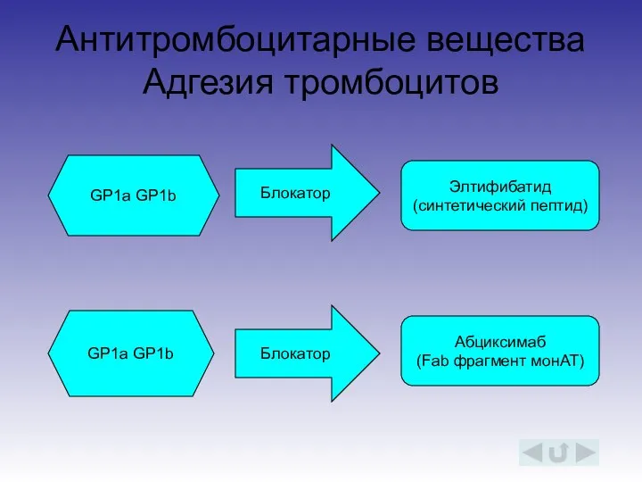 Антитромбоцитарные вещества Адгезия тромбоцитов GP1a GP1b GP1a GP1b Блокатор Блокатор Элтифибатид (синтетический