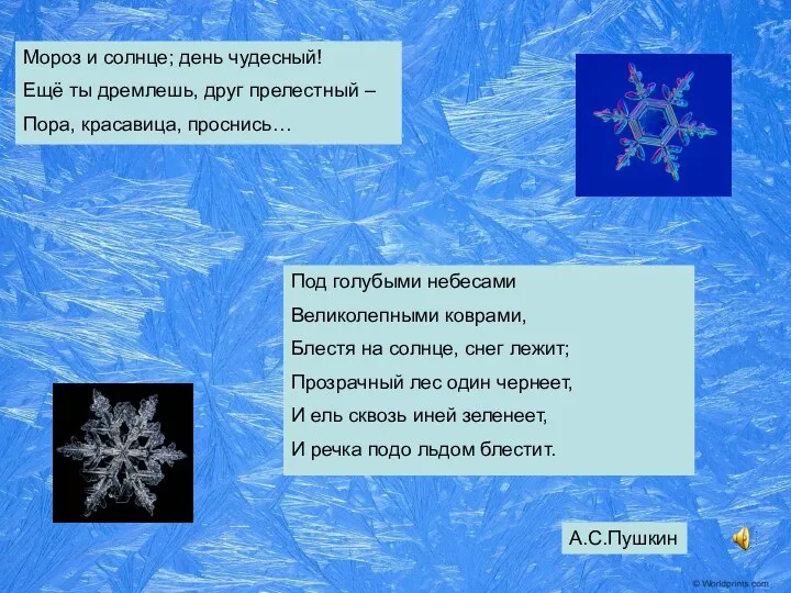 Мороз и солнце; день чудесный! Ещё ты дремлешь, друг прелестный – Пора,