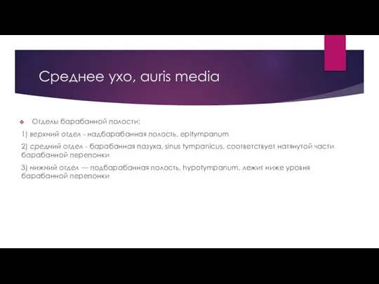 Среднее ухо, auris media Отделы барабанной полости: 1) верхний отдел - надбарабанная