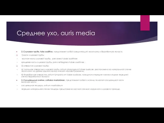 Среднее ухо, auris media 2. Слуховая труба, tuba auditiva, представляет собой соединяющий