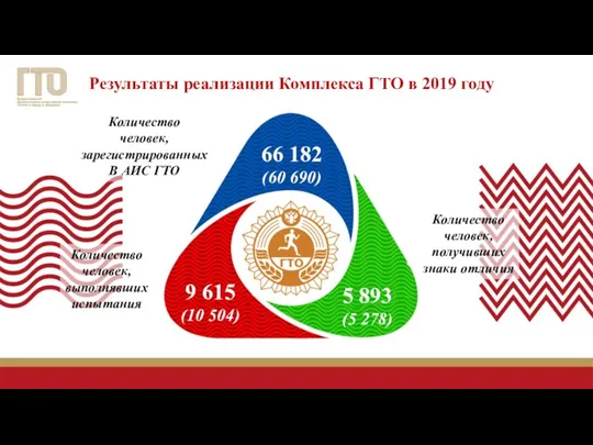 Результаты реализации Комплекса ГТО в 2019 году Количество человек, получивших знаки отличия