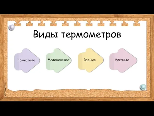 Виды термометров Комнатные Медицинские Водные Уличные