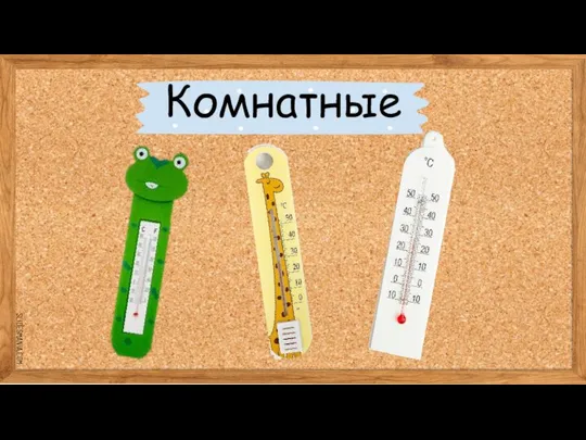 Комнатные