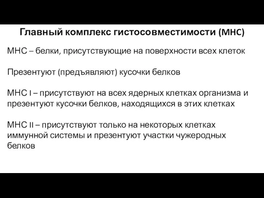 Главный комплекс гистосовместимости (MHC) МНС – белки, присутствующие на поверхности всех клеток