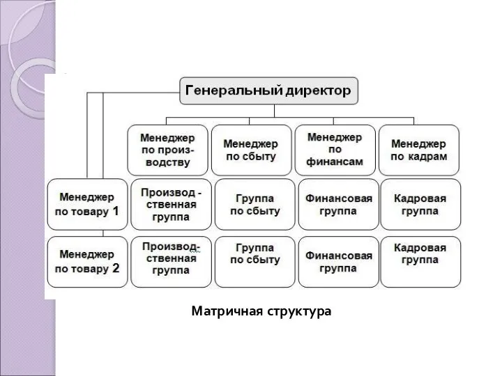 Матричная структура