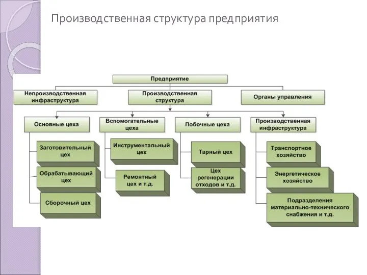 Производственная структура предприятия