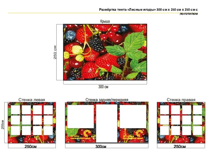 Развёртка тента «Лесные ягоды» 300 см х 250 см х 250 см с логотипом