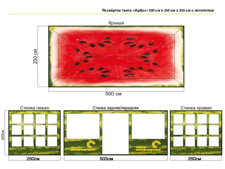 Развёртка тента «Арбуз» 500 см х 250 см х 250 см с логотипом
