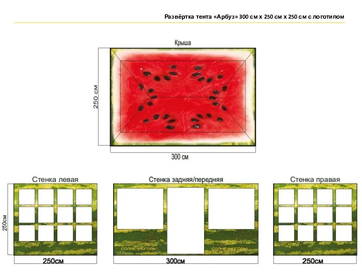 Развёртка тента «Арбуз» 300 см х 250 см х 250 см с логотипом