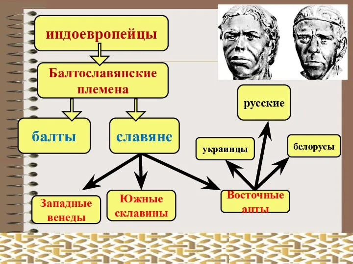 индоевропейцы Балтославянские племена балты славяне Западные венеды Южные склавины Восточные анты украинцы белорусы русские