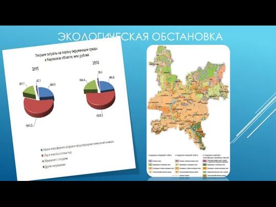 ЭКОЛОГИЧЕСКАЯ ОБСТАНОВКА