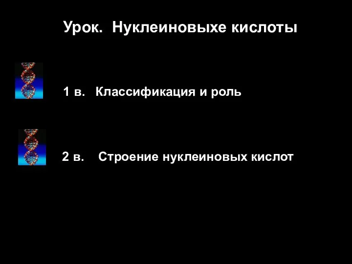 1 в. Классификация и роль 2 в. Строение нуклеиновых кислот Урок. Нуклеиновыхе кислоты