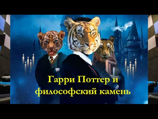 Гарри Поттер и философский камень