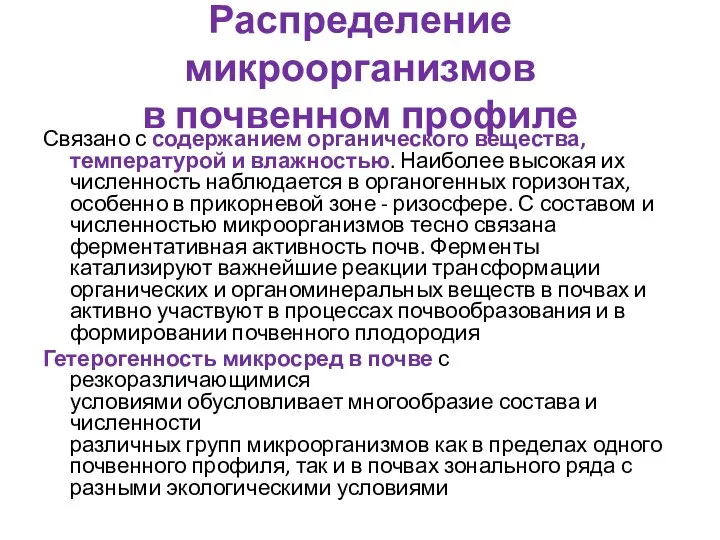 Распределение микроорганизмов в почвенном профиле Связано с содержанием органического вещества, температурой и