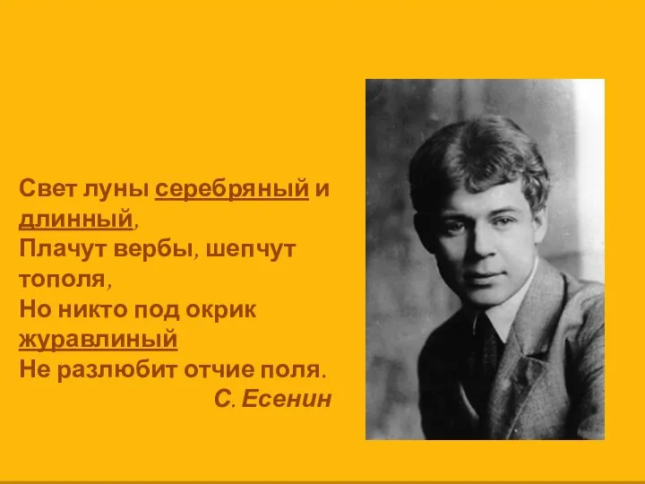 Свет луны серебряный и длинный, Плачут вербы, шепчут тополя, Но никто под