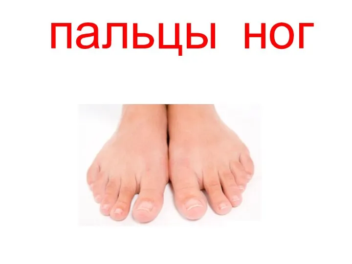 пальцы рук ног