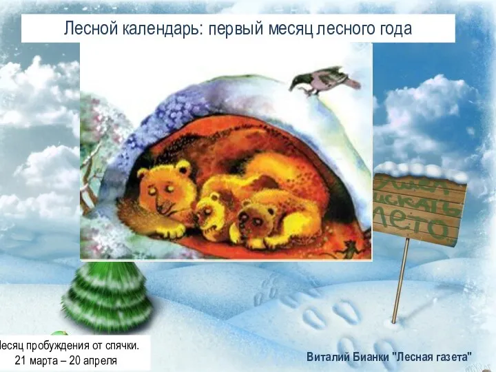 Лесной календарь: первый месяц лесного года Виталий Бианки "Лесная газета" Месяц пробуждения