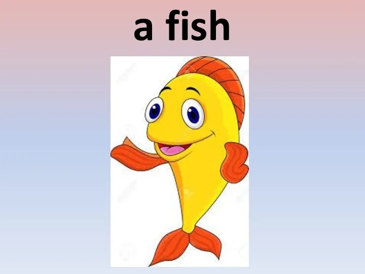 a fish