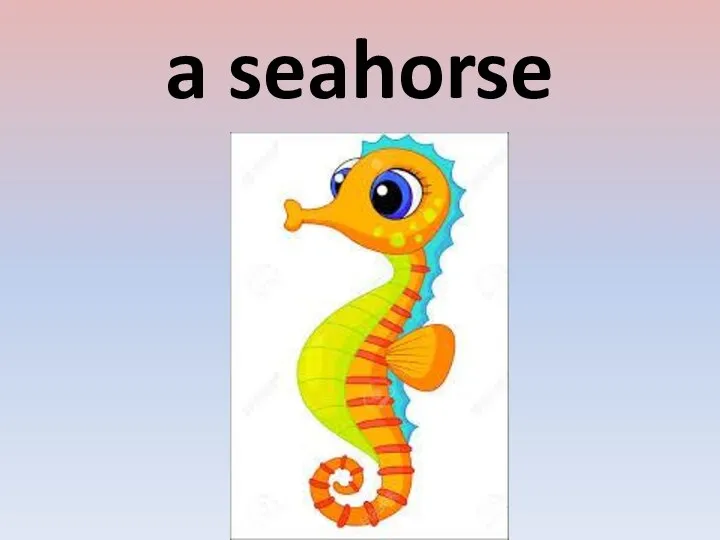 a seahorse