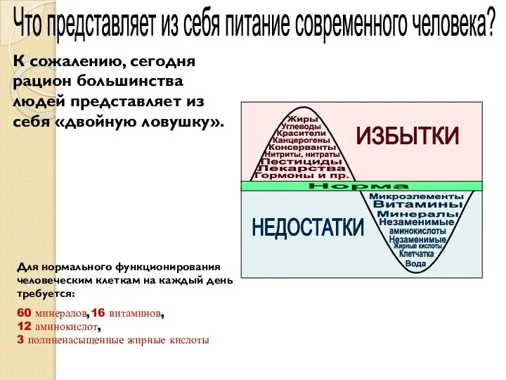 Что представляет из себя питание современного человека? К сожалению, сегодня рацион большинства