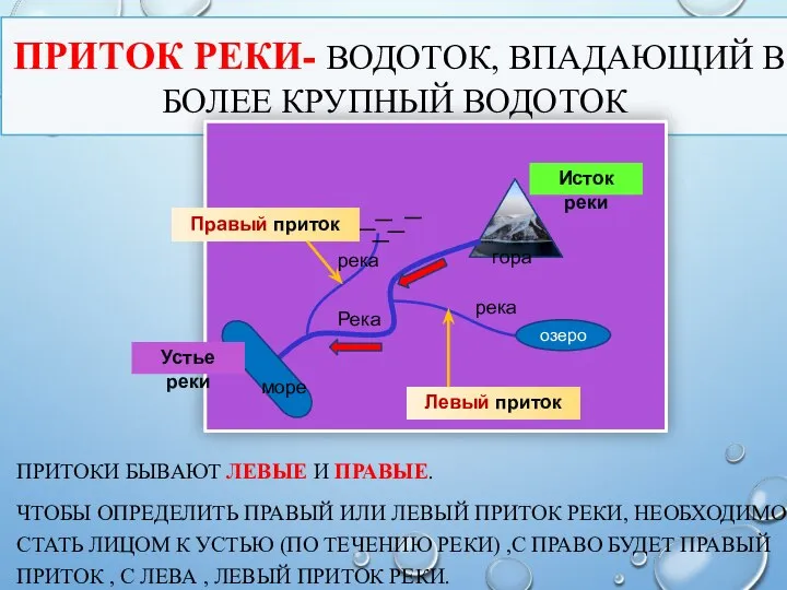 ПРИТОКИ БЫВАЮТ ЛЕВЫЕ И ПРАВЫЕ. ЧТОБЫ ОПРЕДЕЛИТЬ ПРАВЫЙ ИЛИ ЛЕВЫЙ ПРИТОК РЕКИ,