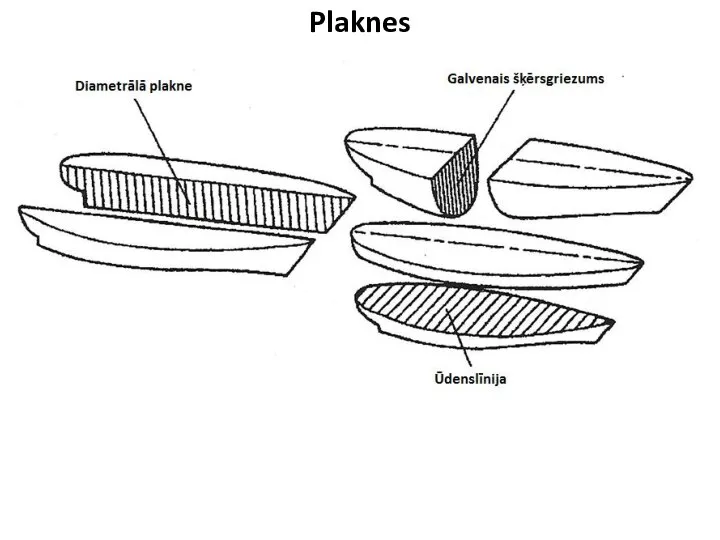 Plaknes