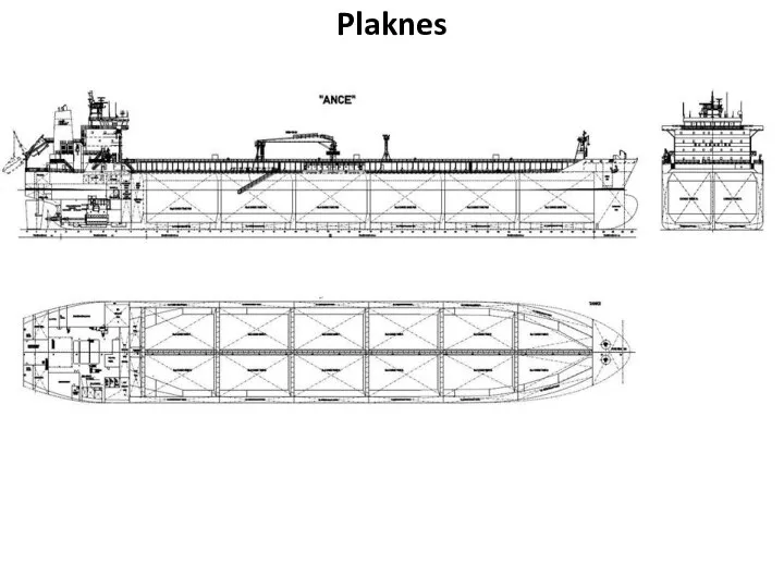 Plaknes