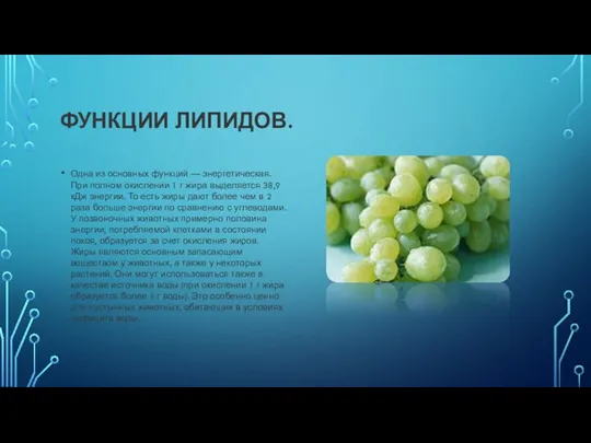 ФУНКЦИИ ЛИПИДОВ. Одна из основных функций — энергетическая. При полном окислении 1