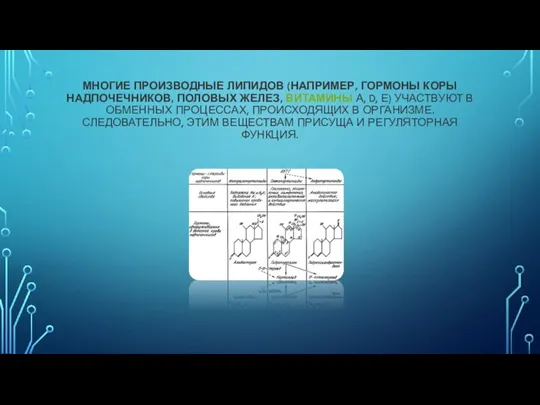 МНОГИЕ ПРОИЗВОДНЫЕ ЛИПИДОВ (НАПРИМЕР, ГОРМОНЫ КОРЫ НАДПОЧЕЧНИКОВ, ПОЛОВЫХ ЖЕЛЕЗ, ВИТАМИНЫ А, D,