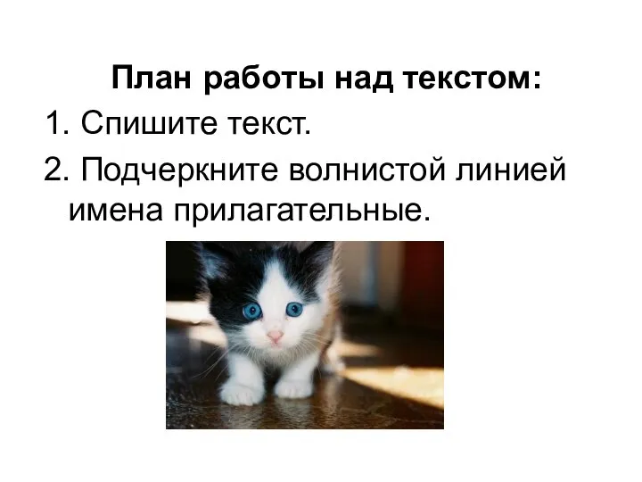 План работы над текстом: 1. Спишите текст. 2. Подчеркните волнистой линией имена прилагательные.