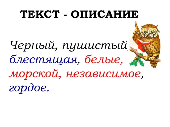 ТЕКСТ - ОПИСАНИЕ Черный, пушистый, блестящая, белые, морской, независимое, гордое.