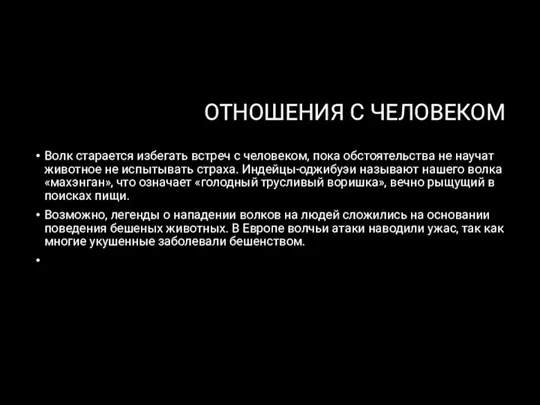 ОТНОШЕНИЯ С ЧЕЛОВЕКОМ Волк старается избегать встреч с человеком, пока обстоятельства не