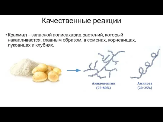 Качественные реакции Крахмал – запасной полисахарид растений, который накапливается, главным образом, в