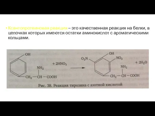 Ксантопротеиновая реакция – это качественная реакция на белки, в цепочках которых имеются