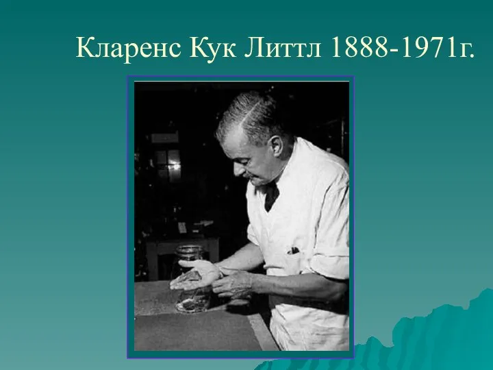 Кларенс Кук Литтл 1888-1971г.