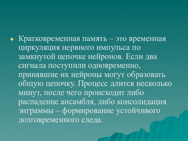 Кратковременная память – это временная циркуляция нервного импульса по замкнутой цепочке нейронов.