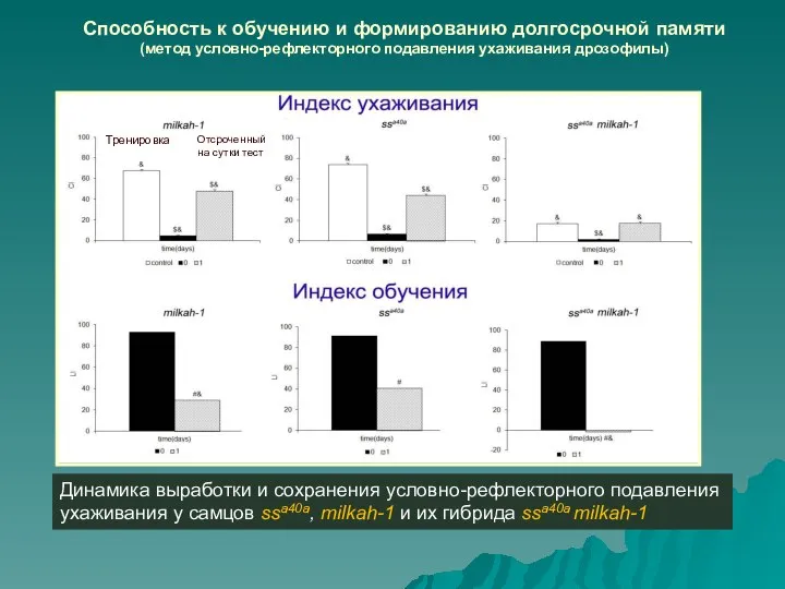 Динамика выработки и сохранения условно-рефлекторного подавления ухаживания у самцов ssa40a, milkah-1 и