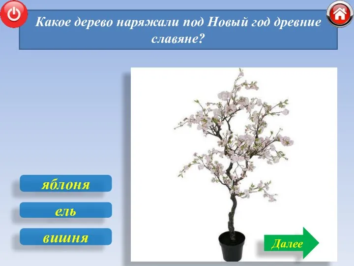 Какое дерево наряжали под Новый год древние славяне? Далее яблоня вишня ель