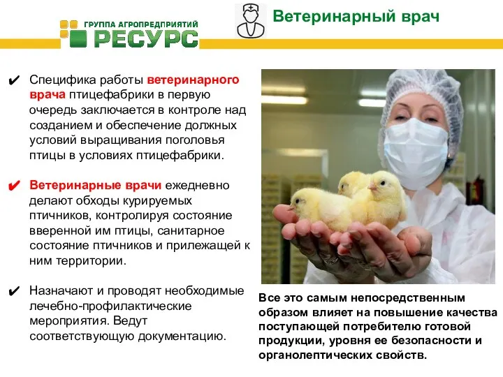 Специфика работы ветеринарного врача птицефабрики в первую очередь заключается в контроле над