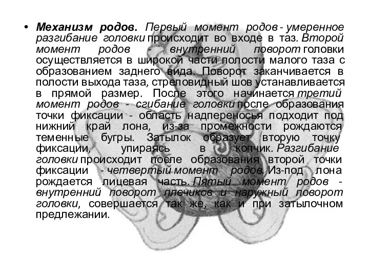 Механизм родов. Первый момент родов - умеренное разгибание головки происходит во входе